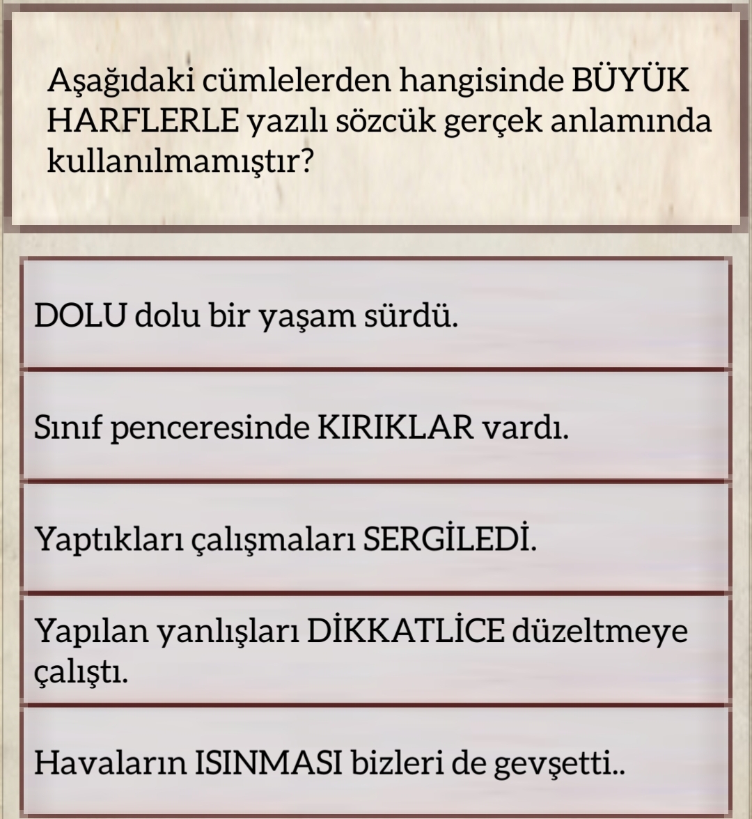 Soru Görseli
